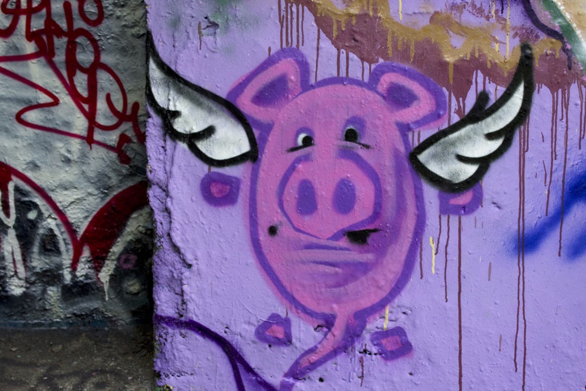 Graffiti Schwein mit Flügeln